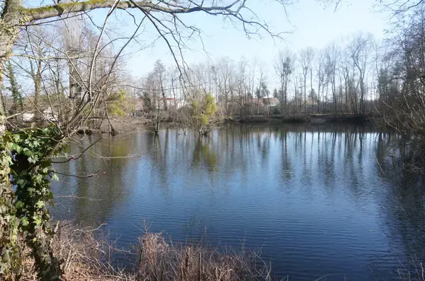 Isolation Façade Copropriété Isolation extérieure façade copropriété La Chapelle-Saint-Luc